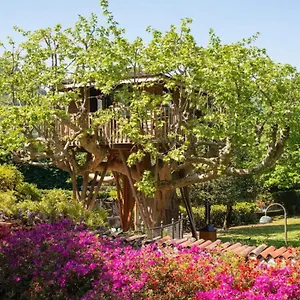 Dream Tree House Côme